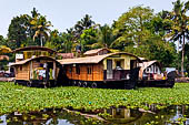 Kerala backwaters, travelling the neighborhood by public ferry service from  Alleppey to Kumbakonam. 